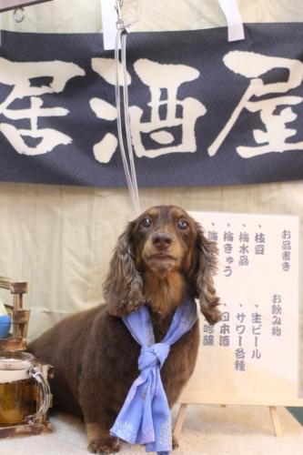 20240622ジョナくん